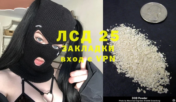 спиды Бородино
