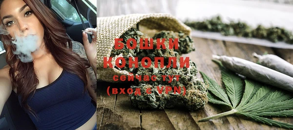 спиды Бородино