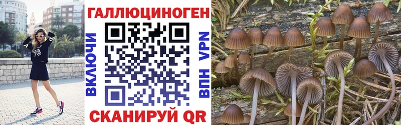 Псилоцибиновые грибы мухоморы  купить   Голицыно 